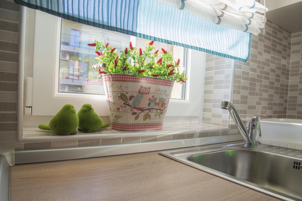 Apartment Cristian 2 Тимишоара Екстериор снимка